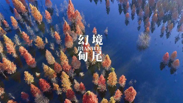 如何看待孤独？游戏画面