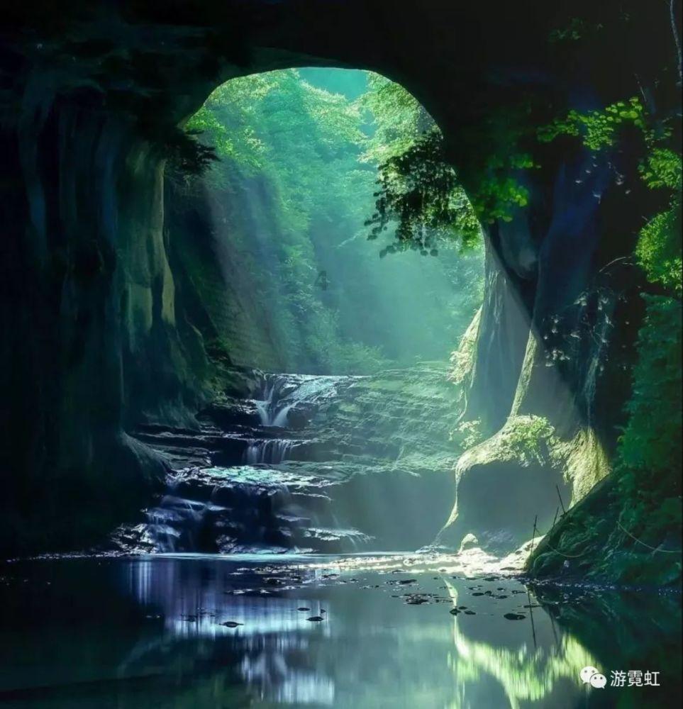 植物神经紊乱是怎么引起的呢游戏画面