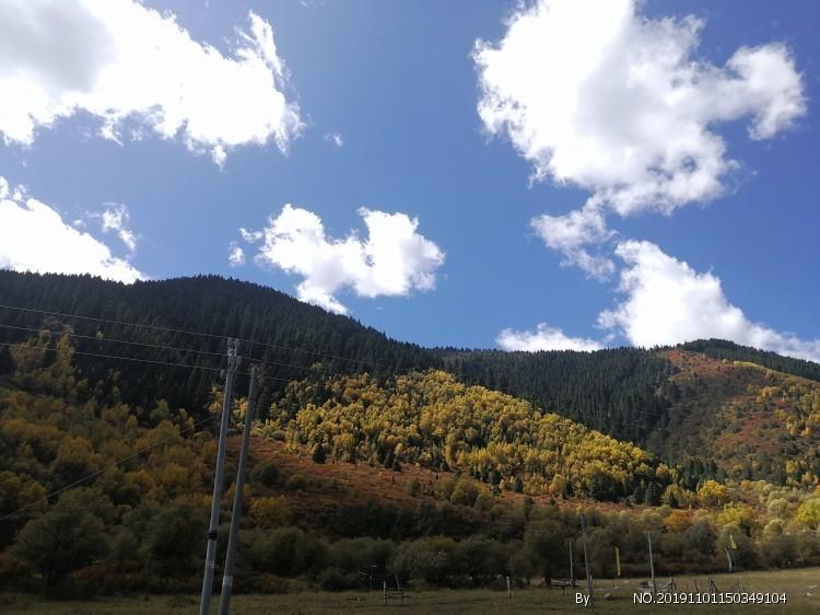 30多年前的摩登女郎，羞答答地望着镜头，当年性感泳装不输现在
