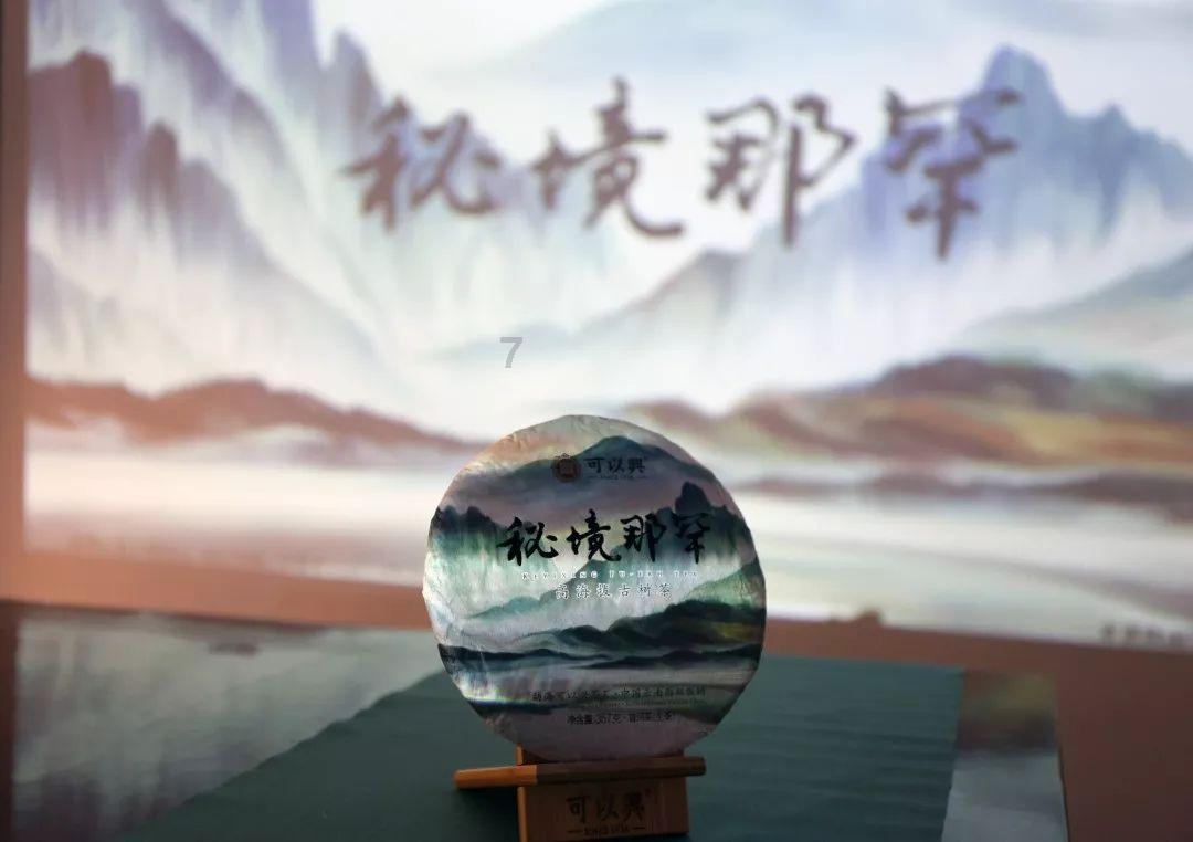 失忆的流浪者