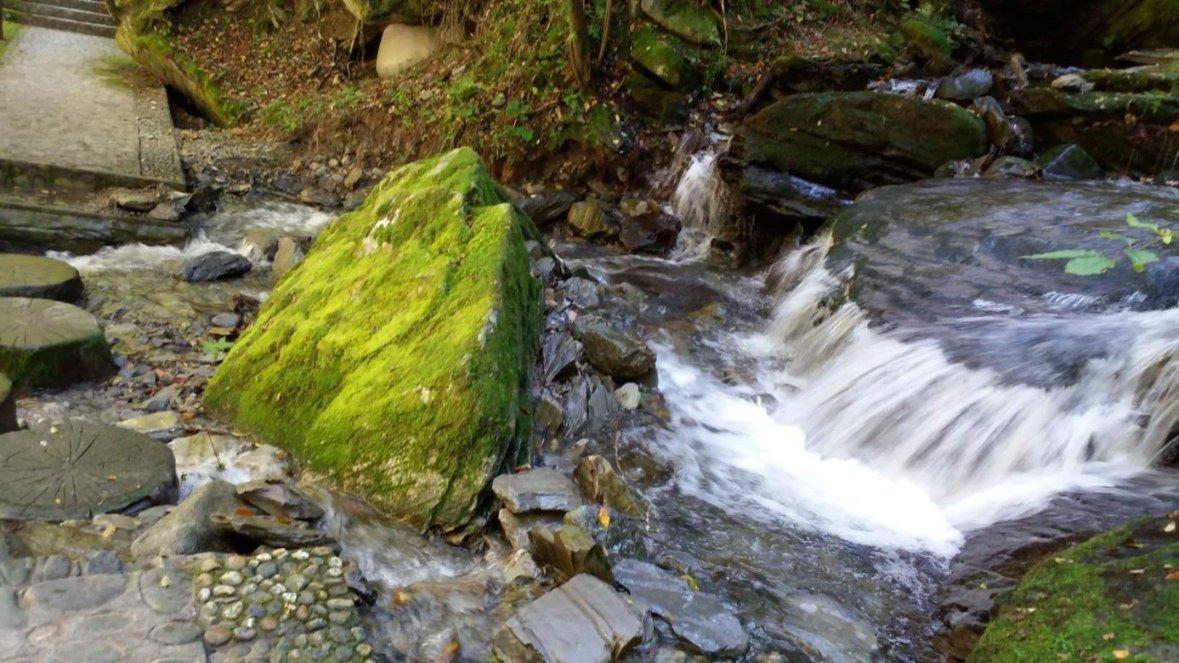 河南鹤壁：浓情腊八节 暖心又“粥”到