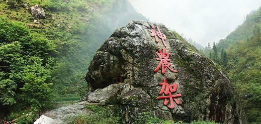 中国元素闪耀非洲杯足球赛