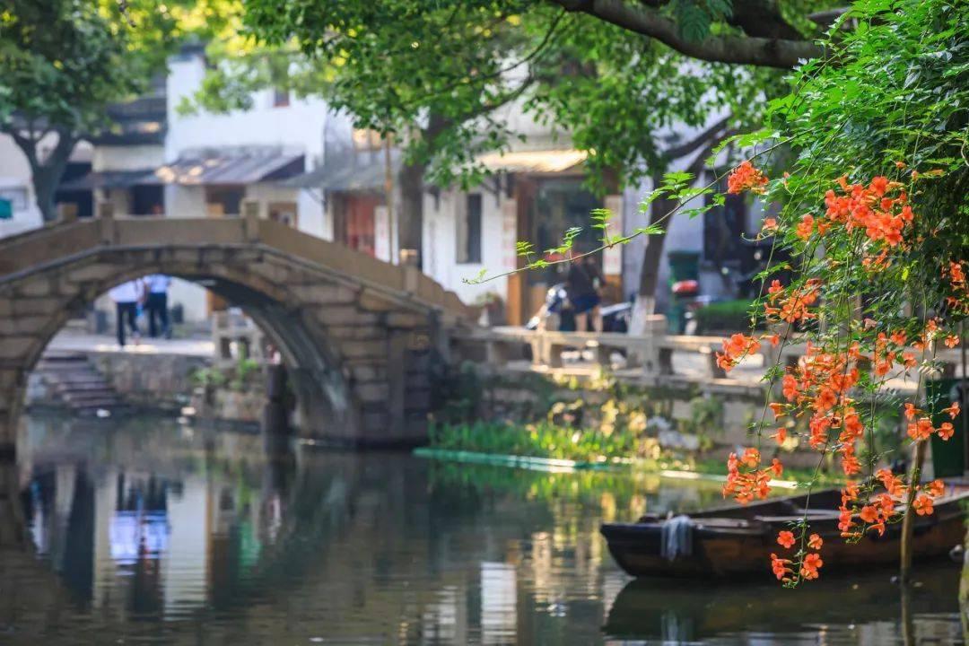 视听山东·临沂 | 岁末大寒至 静候待春归